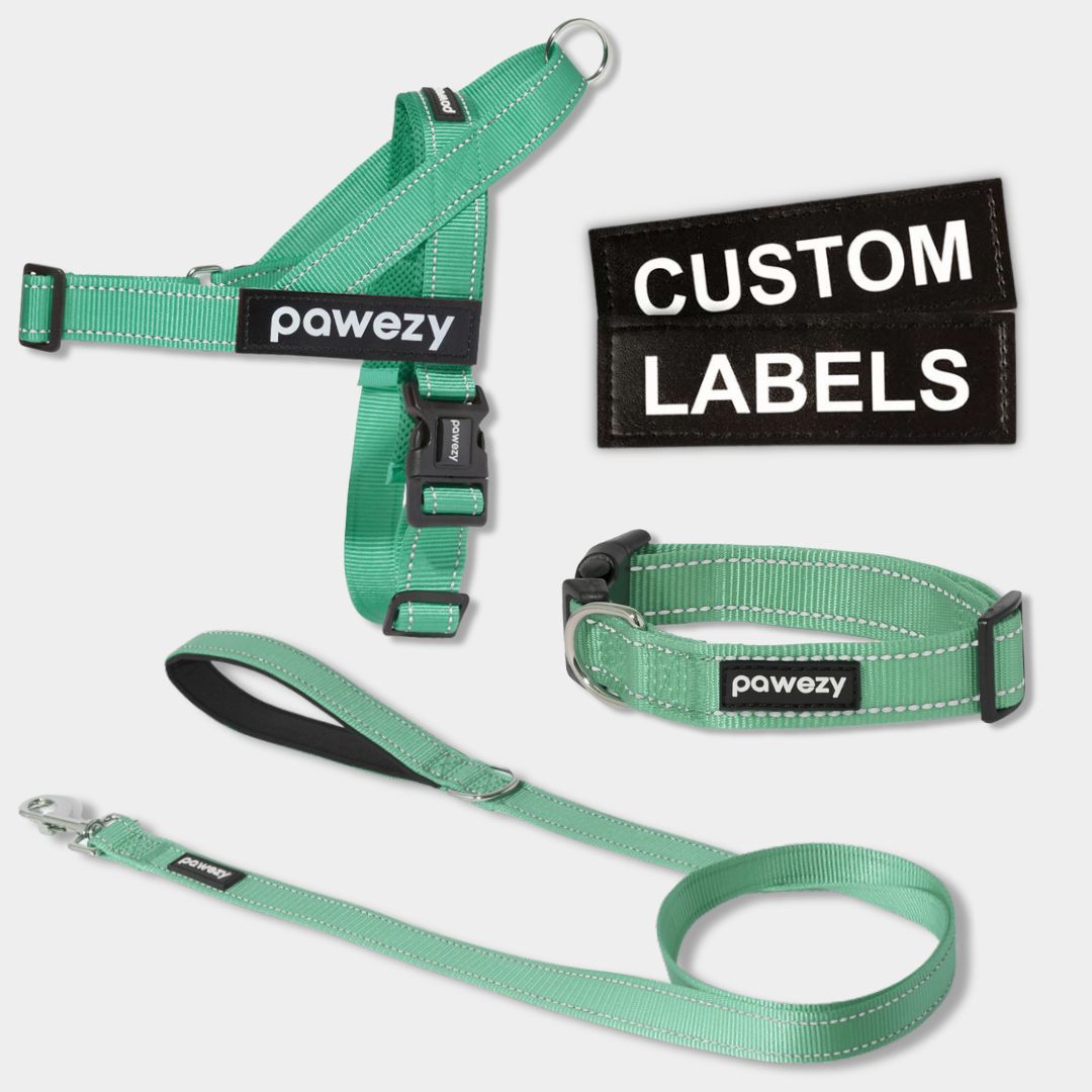 Mint green discount dog harness