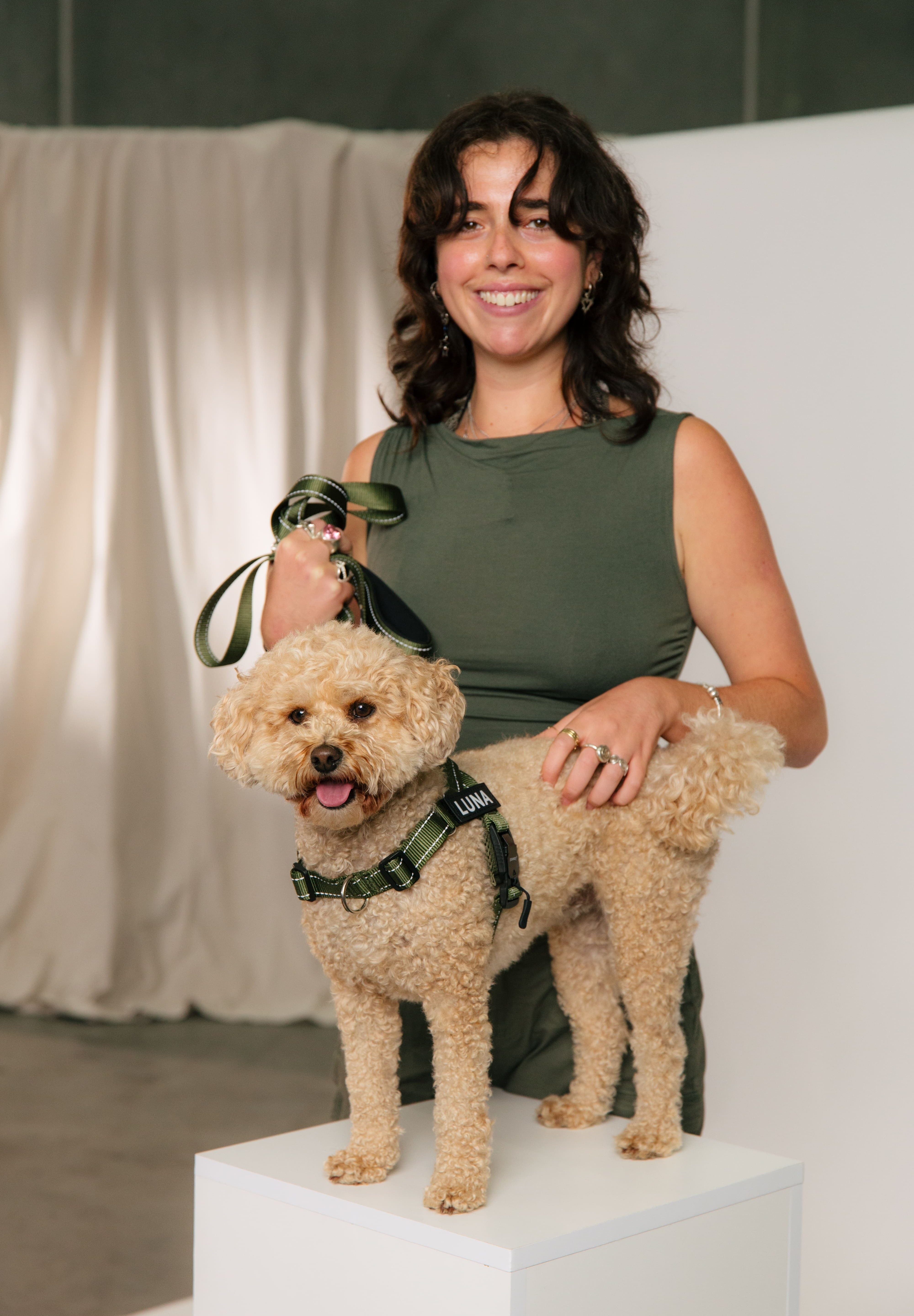 The Good Things About Using a Dog Harness with Metal Buckle Closure