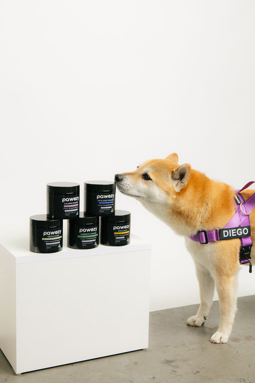 What are the Best Supplements for Senior Dogs? Types and Recommendations