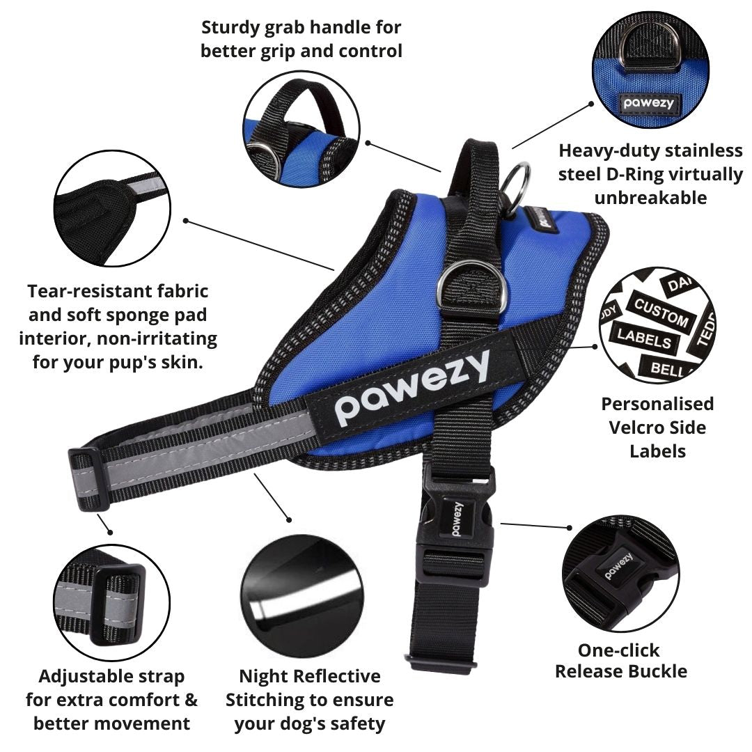 Unbreakable hotsell dog harness